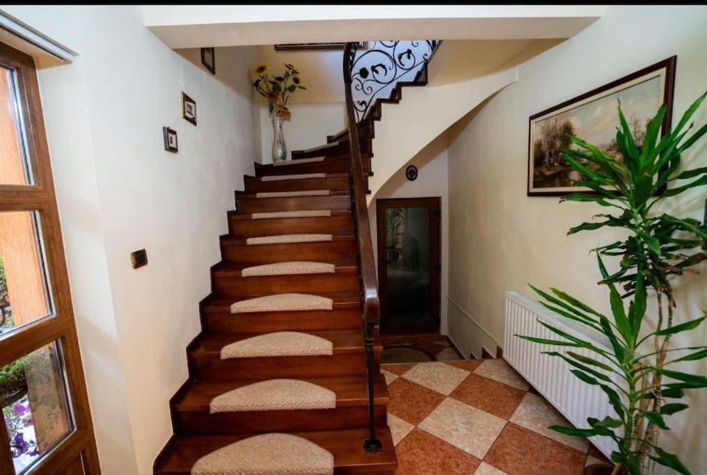 Casa Mona Villa Oradea Exterior photo