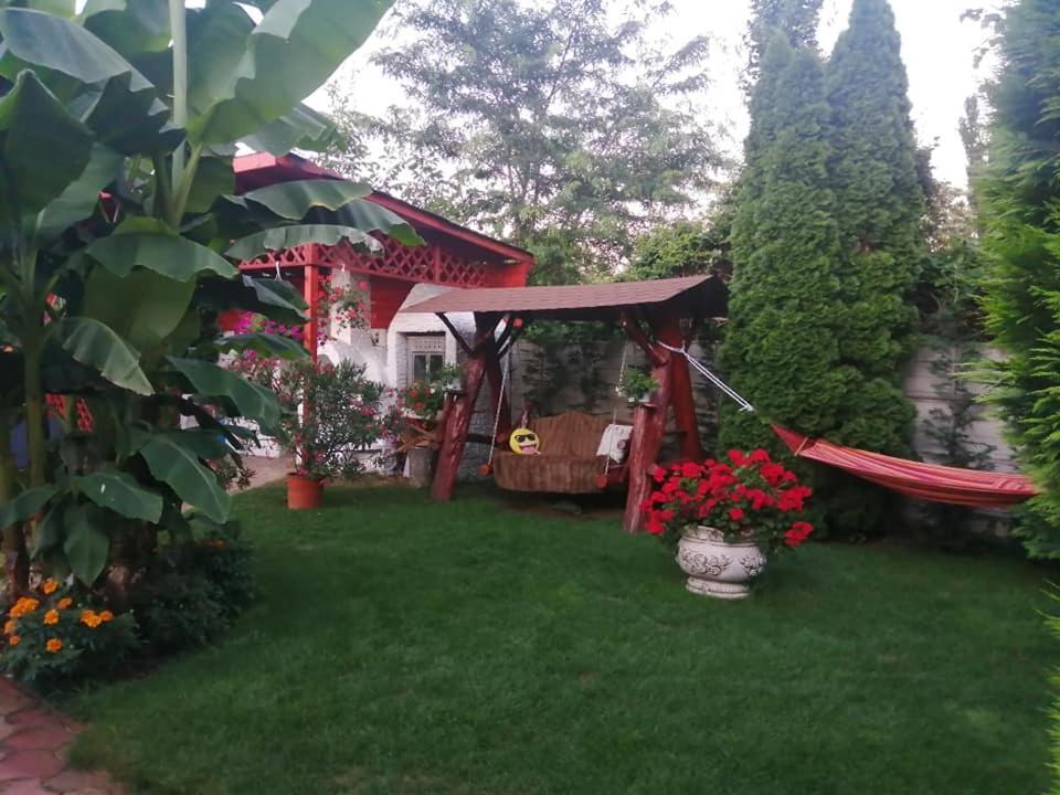 Casa Mona Villa Oradea Exterior photo