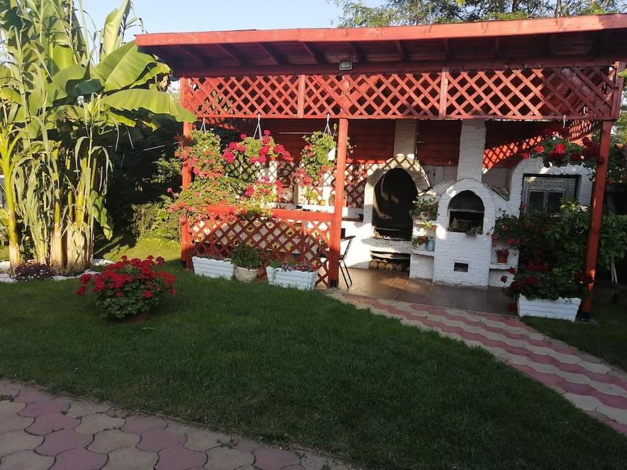 Casa Mona Villa Oradea Exterior photo
